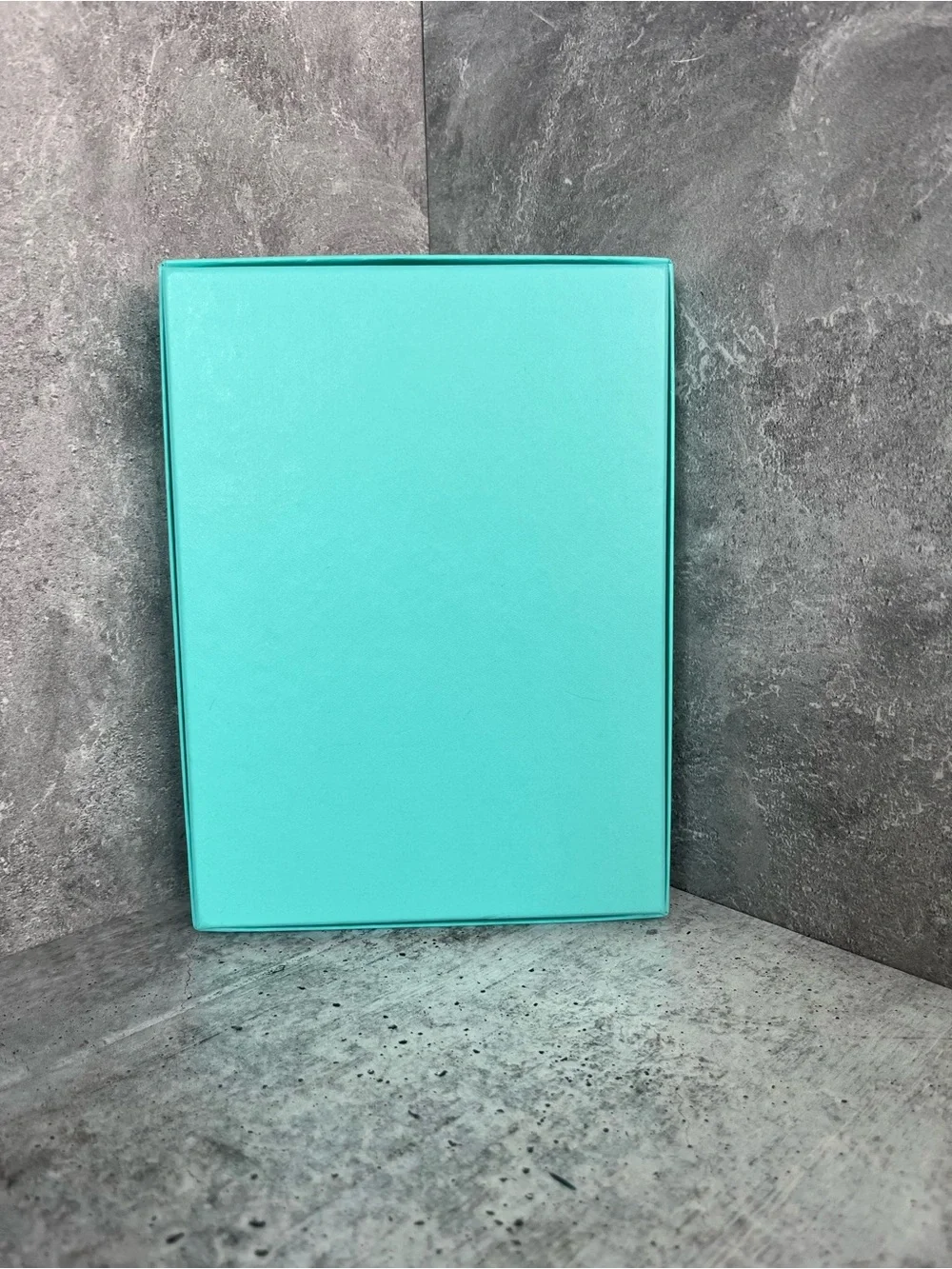 Tiffany & Co. Robin's Egg Blue Presentation Box